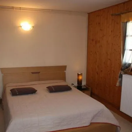 Convivial A Xonrupt-longemer, Pres Du Et Des Activites Sportives, Avec Wifi Et Terrasse - Fr-1-589-204 *