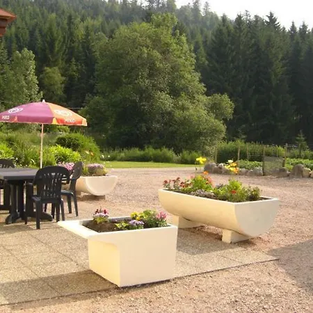 Convivial A Xonrupt-longemer, Pres Du Et Des Activites Sportives, Avec Wifi Et Terrasse - Fr-1-589-204