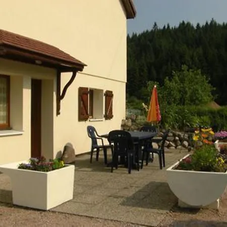 Convivial A Xonrupt-longemer, Pres Du Et Des Activites Sportives, Avec Wifi Et Terrasse - Fr-1-589-204 Apartment *
