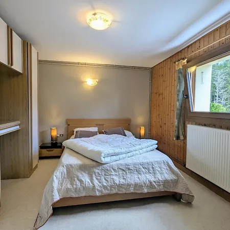 Lejlighed Convivial A Xonrupt-longemer, Pres Du Et Des Activites Sportives, Avec Wifi Et Terrasse - Fr-1-589-204